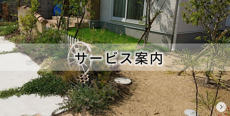 サービス案内