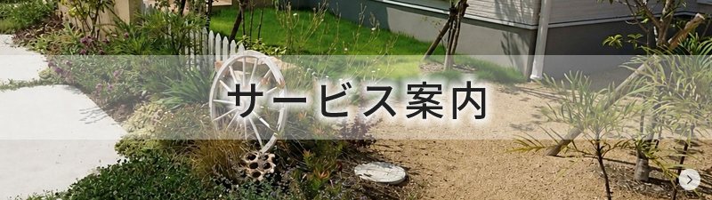 サービス案内